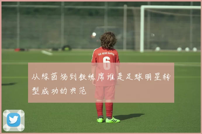 从绿茵场到教练席谁是足球明星转型成功的典范