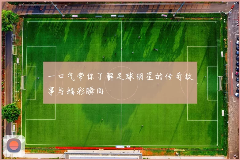 一口气带你了解足球明星的传奇故事与精彩瞬间