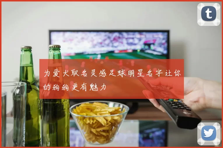 为爱犬取名灵感足球明星名字让你的狗狗更有魅力