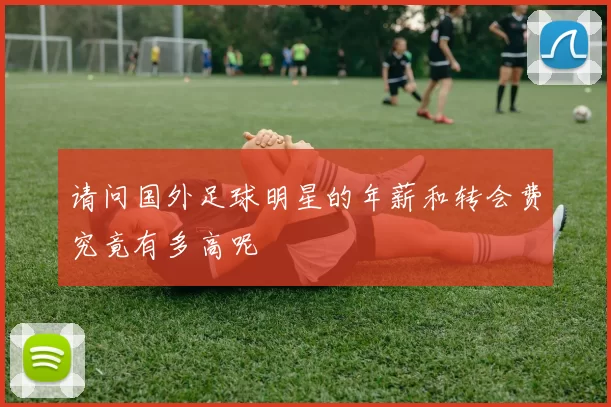 请问国外足球明星的年薪和转会费究竟有多高呢