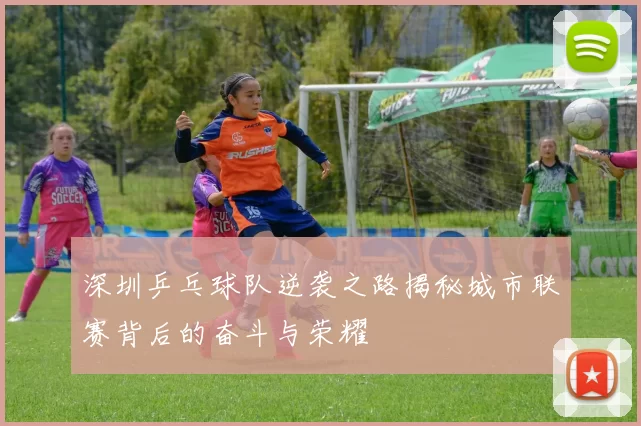深圳乒乓球队逆袭之路揭秘城市联赛背后的奋斗与荣耀