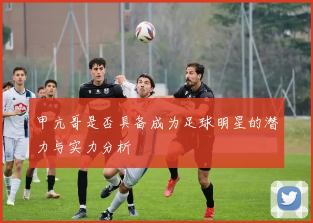 甲亢哥是否具备成为足球明星的潜力与实力分析