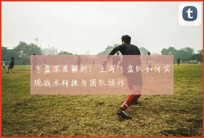 飞盘深度解析：上海飞盘队如何实现战术转换与团队协作