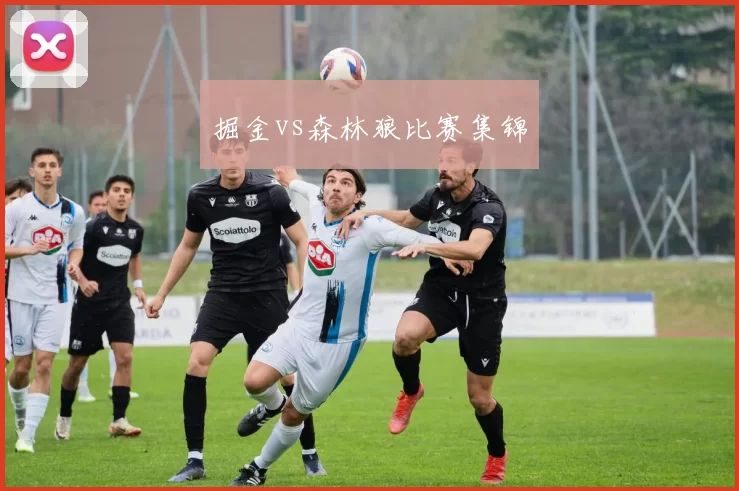 掘金vs森林狼比赛集锦