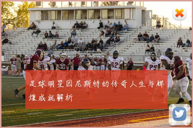 足球明星因尼斯特的传奇人生与辉煌成就解析