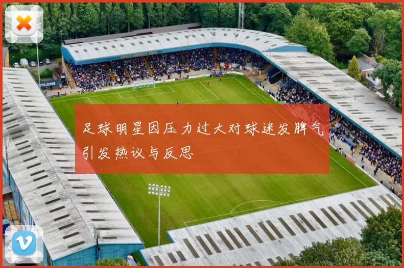 足球明星因压力过大对球迷发脾气引发热议与反思