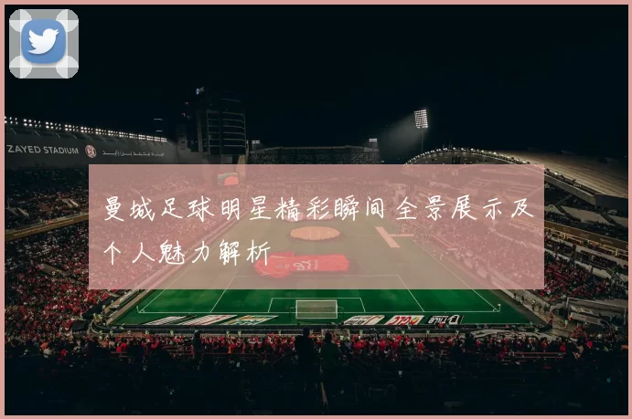 曼城足球明星精彩瞬间全景展示及个人魅力解析