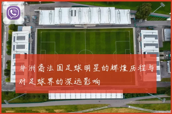 非洲裔法国足球明星的辉煌历程与对足球界的深远影响