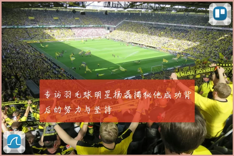 专访羽毛球明星杨磊揭秘他成功背后的努力与坚持