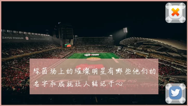 绿茵场上的璀璨明星有哪些他们的名字和成就让人铭记于心