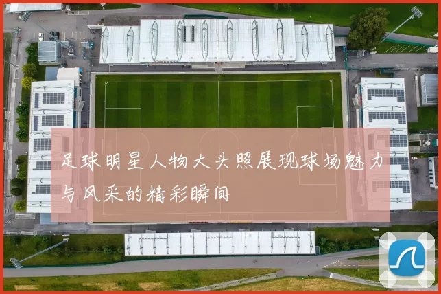 足球明星人物大头照展现球场魅力与风采的精彩瞬间