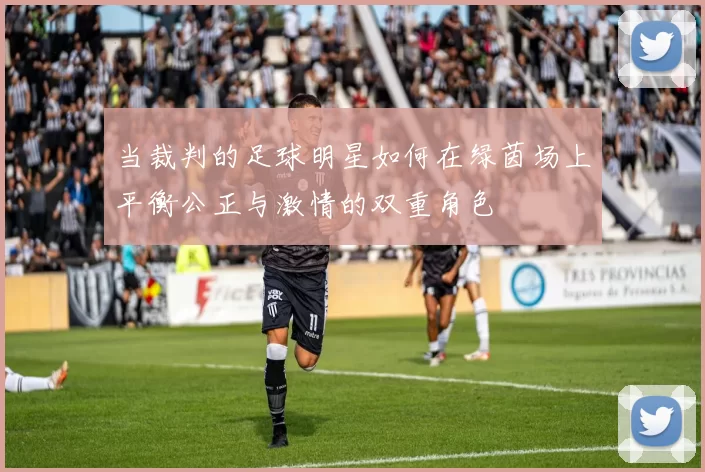 当裁判的足球明星如何在绿茵场上平衡公正与激情的双重角色